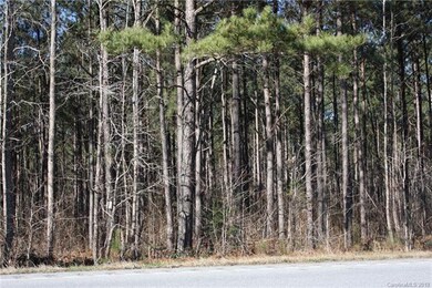 00 Hwy 161 Hwy, Clover, SC 29710 - photo 4