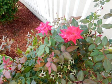 DSCN0109