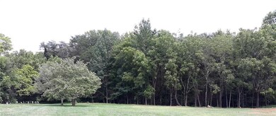 Over 3 acres of your own private oasis. You can cut or keep as many trees as you like!