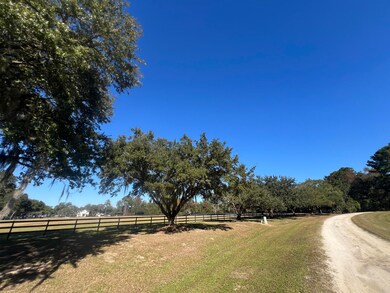Lot 35 Josie Ridge Rd, Wadmalaw Island, SC 29487 - photo 5