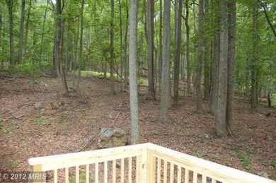 383 Red Bud Ln, Front Royal, VA 22630 - photo 2