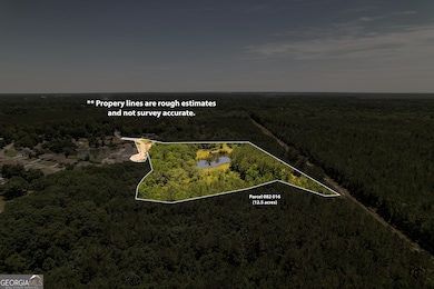 20 Acres Kingsland West of Hwy 17, Kingsland, GA 31548 - photo 3