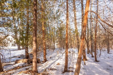 8 Colorado Ave, Camden, ME 04843 - photo 4