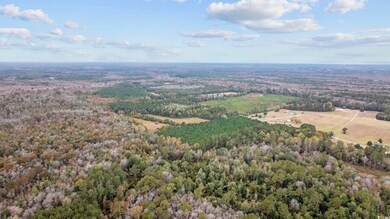 lots 3-9 Creek Landing Rd, Nichols, SC 29581 - photo 5