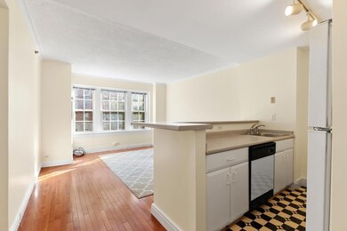 The Charlesview unit 302, Boston, MA 02215 - photo 4