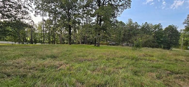 102 Owasso Trail, Bismarck, AR 71929 - photo 5