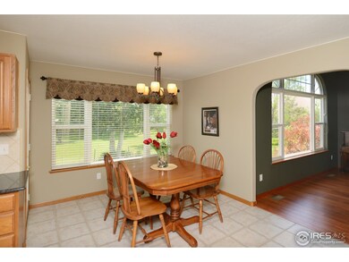 Lots of Natural Light