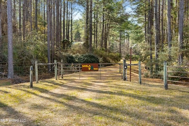 3181 Centerville Rd, Magnolia, MS 39652 - photo 2