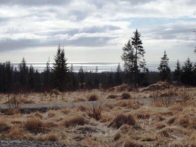 Cook Inlet