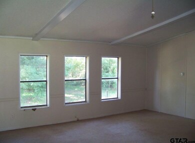 16254 Janan Dr, Tyler, TX 75707 - photo 7