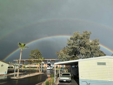 The rain brings beautiful rainbows