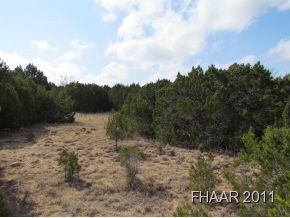 13674 E Hwy 190, Kempner, TX 76539 - photo 5