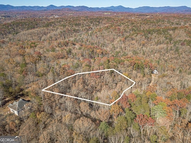 0 Arborwood Dr unit 10645890, Dahlonega, GA 30533 - photo 2