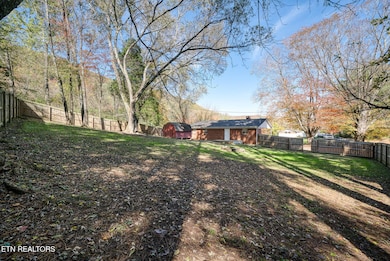 287 Watson Ave, Spring City, TN 37381 - photo 3