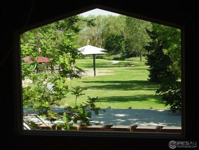 Views of Park