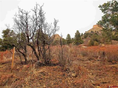 0 Bell Flower Ct unit 767546, Durango, CO 81301 - photo 7