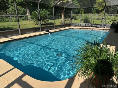 Huge caged pool