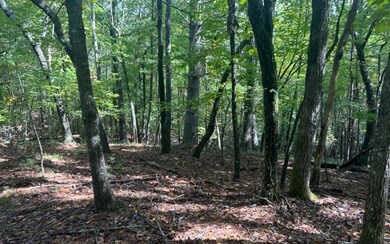 Additional View