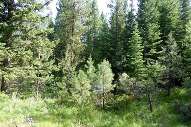 9 Three Point Rd unit 4, Cascade, ID 83611 - photo 2