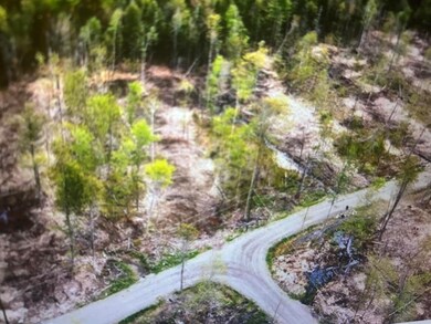 Lot #8 Hammond Brook Rd unit 8, Monson, ME 04464 - photo 3