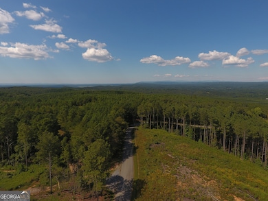 0 Johnson Mountain Rd unit 7401-L 10609148, Rydal, GA 30171 - photo 3