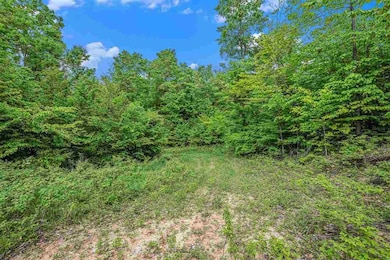 Lot 3 High Pines Trail, Boyne City, MI 49712 - photo 5