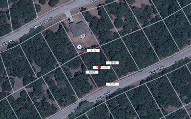 18094 Forrest Dr, Whitney, TX 76692 - photo 2