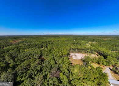 3 ACRES Lewis Ln SW, Eulonia, GA 31331 - photo 2
