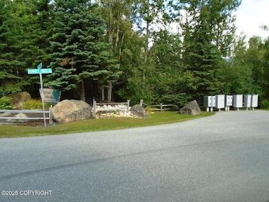L1 Downey Finch Dr, Anchorage, AK 99516 - photo 2