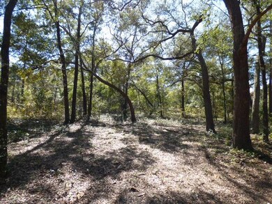 0 Swirl Ln unit 287251, Crawfordville, FL 32327 - photo 7