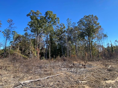 0 Vertie Hoggle Rd, North Perry, AL 36756 - photo 5