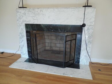 290 - Fireplace # 1