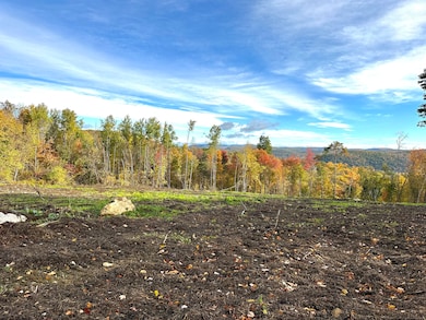 0 Swaller Hill Rd unit 24141835, Sharon, CT 06796 - photo 4