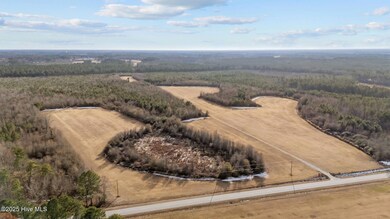 Tbd Wollett Mill Rd, Battleboro, NC 27809 - photo 4