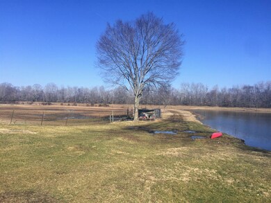 Another view of pond