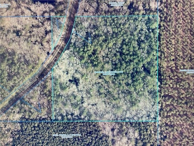 TBD Goldonna Rd, Gorum, LA 71031 - photo 5