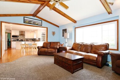 1507 Newman Ct, Naperville, IL 60564 - photo 4