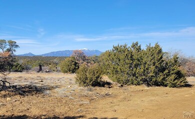 Lot 896 Los Vaqueros Cir, Walsenburg, CO 81089 - photo 6