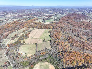 5360 Old Snapps Ferry Rd, Limestone, TN 37681 - photo 7