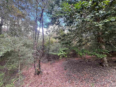 00 Blue Willow Dr, Wildwood, TX 77664 - photo 2