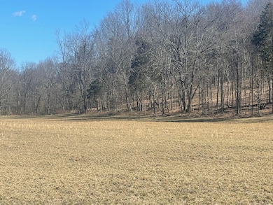 1 Old Clarksville Pike, Chapmansboro, TN 37035 - photo 3