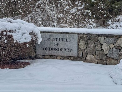 29 Saint Andrews Way, Londonderry, NH 03053 - photo 2