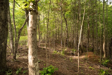 Tract 1 Century Ln, Blue Ridge, GA 30513 - photo 3