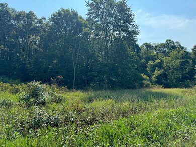 30,40,&50 62nd St, Decatur, MI 49045 - photo 4