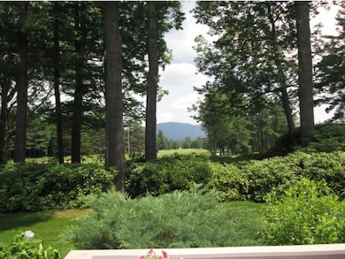 21 Seasons unit 21, New London, NH 03257 - photo 2