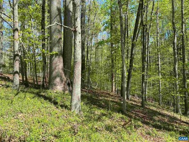 0 Milton Dr unit 615250, Milton, VA 22947 - photo 6