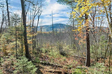 20 Pine Lane Rd, West Ossipee, NH 03890 - photo 6