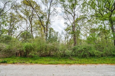 228 County Road 4323, Dayton, TX 77535 - photo 2