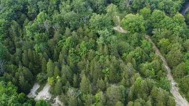 738 Rogues Fork Rd, Bethpage, TN 37022 - photo 6