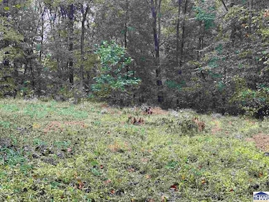 9540 N Bowman Rd, Gosport, IN 47433 - photo 2